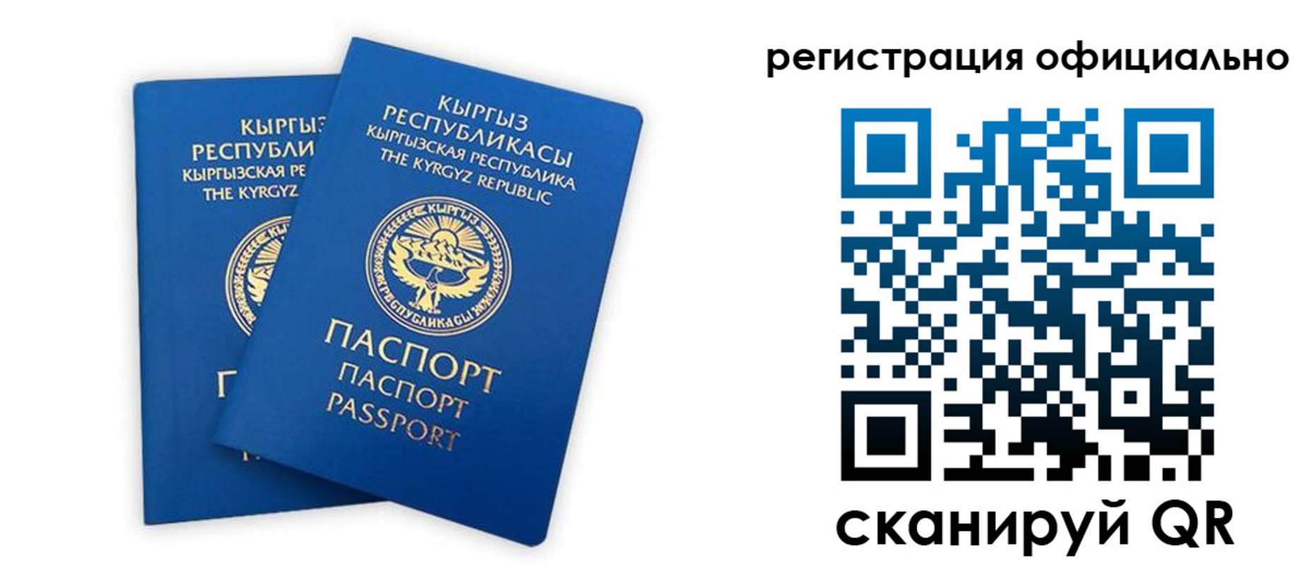 прописка поиск в Юрьев-Польском